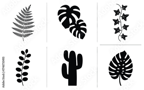 Black silhouette vector bundle of six diverse tropical and desert plant illustrations scalable eps icons silhouette vector illustration white background