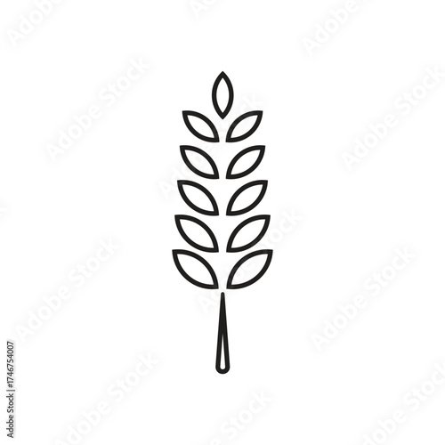 Outline of Wheat Ear or Grain Stalk Vector Design on White Background