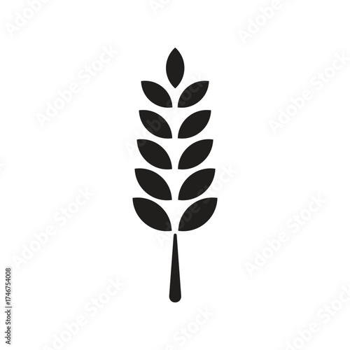 Minimalist Wheat Ear or Grain Stalk Vector Design on White Background
