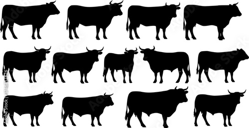 cow silhouette Vector set, cattle silhouettes, diverse breed of cows. Ideal for farm, ranch branding. Perfect for logos,