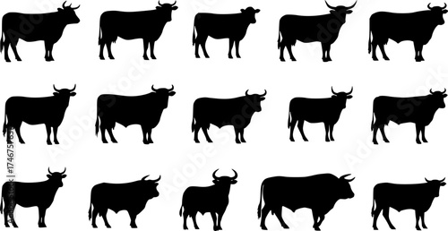 cow silhouette Vector set, cattle silhouettes, diverse breed of cows. Ideal for farm, ranch branding. Perfect for logos,