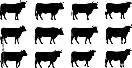 cow silhouette Vector set, cattle silhouettes, diverse breed of cows. Ideal for farm, ranch branding. Perfect for logos,