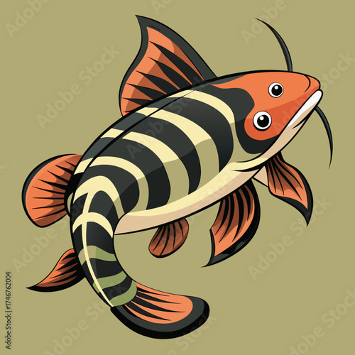 vector illustration of a fish