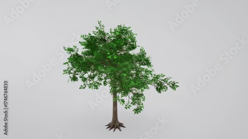 A digitally rendered tree with green leaves and a brown trunk stands on a white background