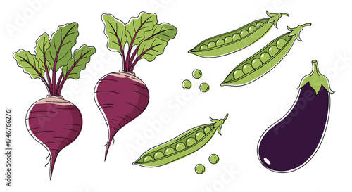 A collection of fresh garden vegetables including beets peas and eggplant.