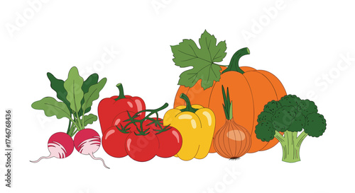 A vibrant assortment of fresh vegetables including radishes tomatoes peppers pumpkin onion and broccoli.
