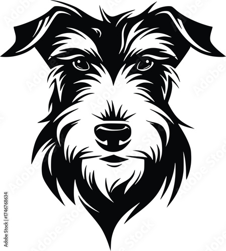 Irish Terrier head silhouette with wiry coat, pointed ears, and intense gaze in black vector