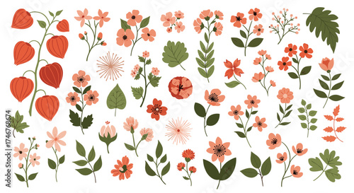 A collection of delicate floral illustrations and botanical elements in soft colors.