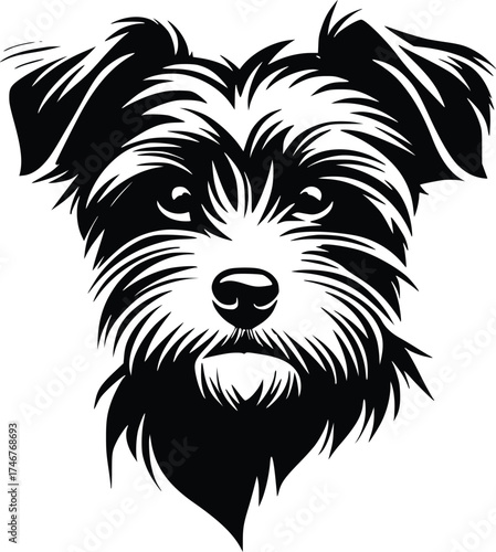 Norfolk Terrier head silhouette with shaggy coat, pointed ears, and bright eyes in black vector