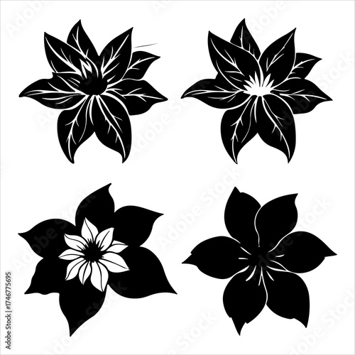 A Vibrant Closeup of a Star Shaped Clematis Flower, a Classic English Garden Perennial Climbing Vine, Ideal for Trellis Vertical Garden Decoration with Large Bloom Beauty.