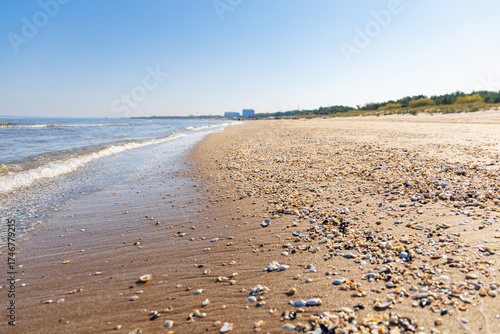 Fototapeta Naklejka Na Ścianę i Meble -  A vibrant stretch of Baltic Sea beach adorned with countless small, colorful seashells, creating a natural mosaic where sand meets the gentle waves