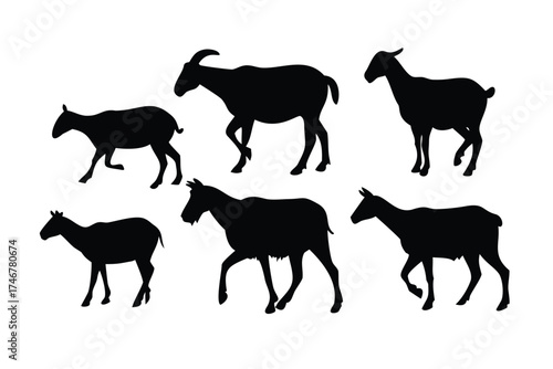Solid Black Silhouette Vector Set of Goats and Sheep
