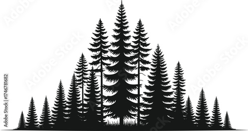 Coniferous tree silhouette group, forest vector, black pine trees, nature illustration, minimalist landscape, evergreen design, isolated tree cluster art