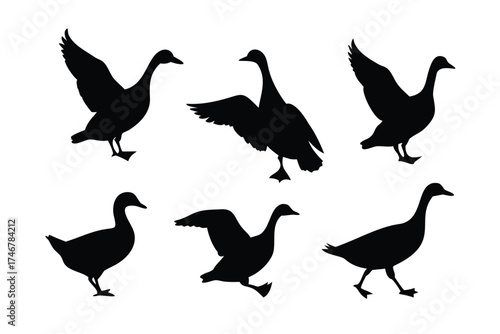 Solid Black Silhouette Vector Set of Ducks and Geese