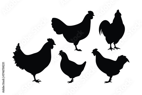 Solid Black Silhouette Vector Set of Chickens, Hens, and Roosters