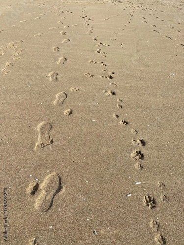 Footsteps in the sand.