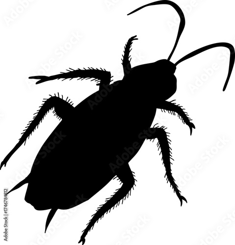 Silhouette of a Cockroach Illustration