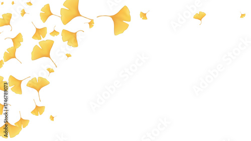 Autumn Leaves Ginkgo Autumn Background