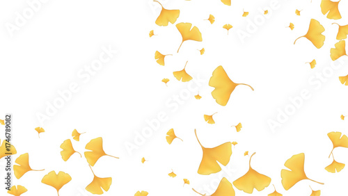 Autumn Leaves Ginkgo Autumn Background