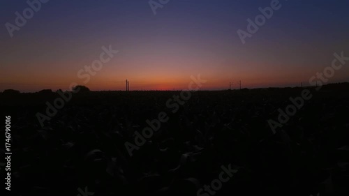 Cornfield at sunrise on a sunny morning day, timelapse video
