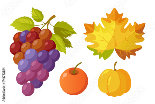 Grapes and autumn fruits illustration, seasonal vector pack isolated on white background