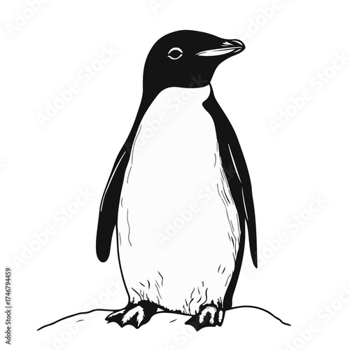 Aus der Serie: Pinguine zum Knuddeln