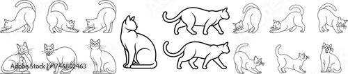 Collection of Cat Line Drawings in Various Poses Graphic Resource