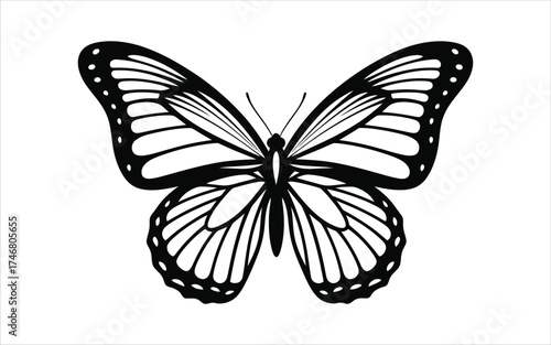 Vectorized Butterfly for print, decoration, Wallpaper, Commercial use, Sketch.