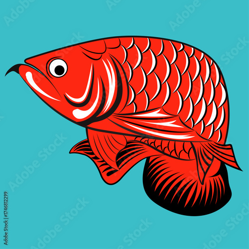 vector illustration of a Red Arowana Fish