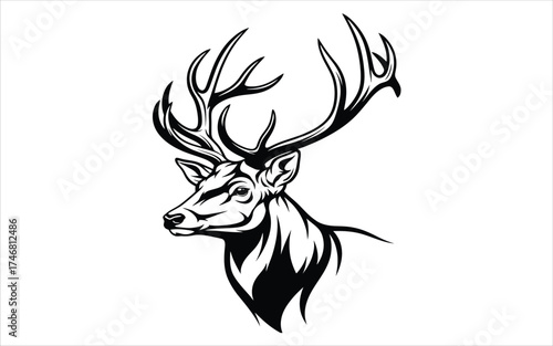 Vectorized Deer for print, decoration, Wallpaper, Commercial use, Sketch