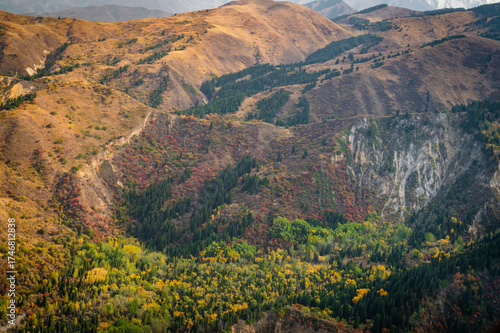 landscape in the mountains