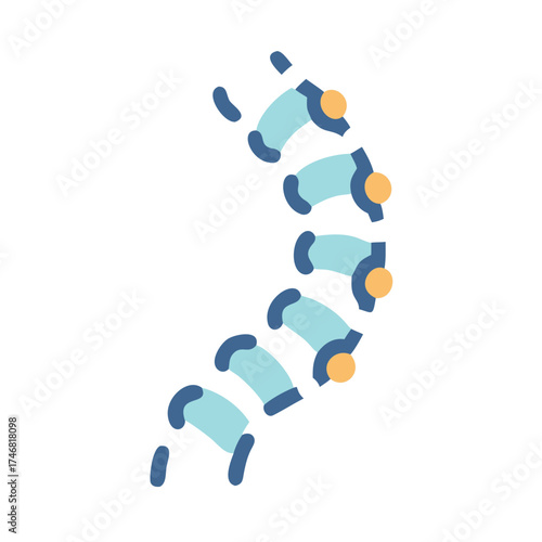 Vector art of a simplified, curved representation of a human spine, showing the segmented structure of the vertebrae, isolated on a