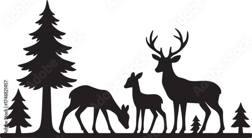 deer in a forest