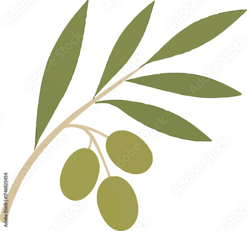 A stylized illustration of an olive branch featuring three green olives and several elongated green leaves. 