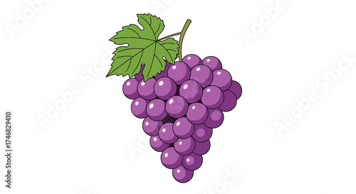 A close up shot of a bunch of ripe purple grapes hanging from a vine with a green leaf on a white background.