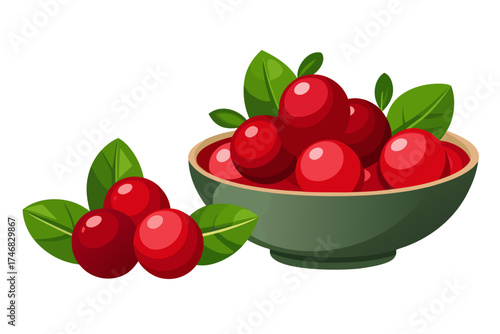 Cranberries in a bowl, fresh fruit element vector illustration isolated on white