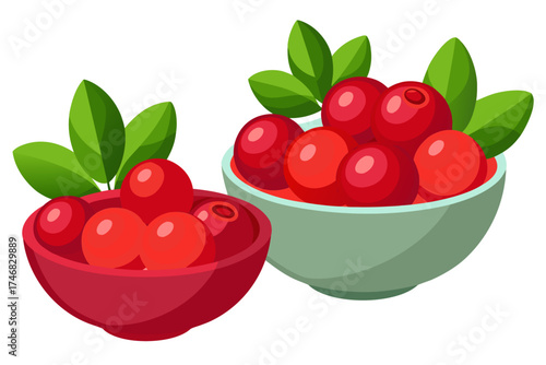 Cranberries in a bowl, fresh fruit element vector illustration isolated on white