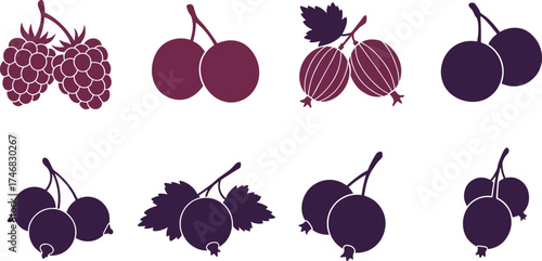Berry fruit collection, raspberry cherry gooseberry blackcurrant, fresh organic berries, healthy food design, botanical fruit illustration, natural berry artwork
