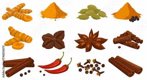 A grid of twelve illustrated spices including turmeric cardamom star anise cinnamon and chili peppers