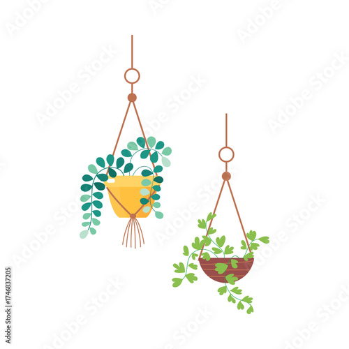 Houseplant and Green Flower Growing in Pot Vector Illustration