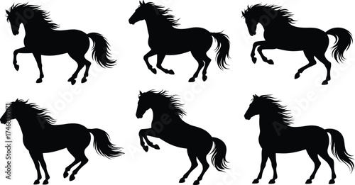 Dynamic horse silhouettes galloping and rearing in powerful motion