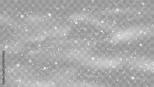 Vector snowfall isolated. Winter background. Snow overlay illustration. Snowflakes and ice.