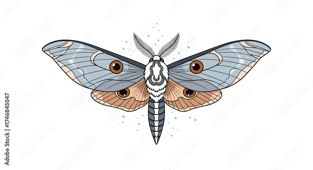 Obraz premium Detailed illustration of a beautiful moth with patterned wings.