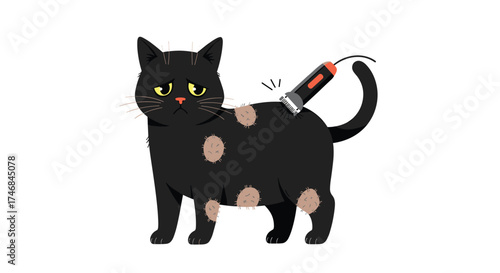 A black cat with bald spots being shaved by clippers.