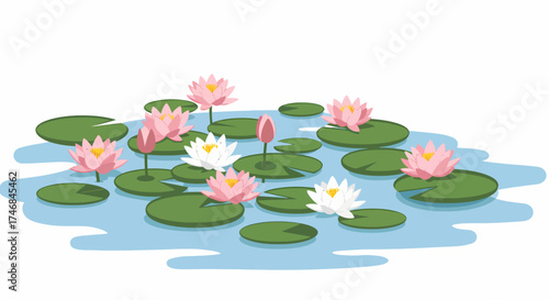 Pink and white water lilies floating on green lily pads in blue water