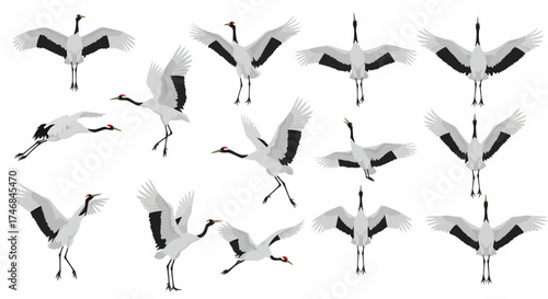 Repeating pattern of Redcrowned Cranes in various flight and standing poses
