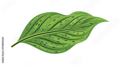 A vibrant green leaf with intricate vein patterns.