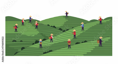 Tea pickers harvesting leaves on terraced green hillsides under white sky