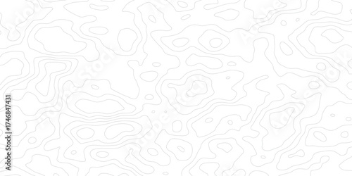 Abstract topographic map lines background. Vector seamless background, subtle pattern. topographic map background concept.