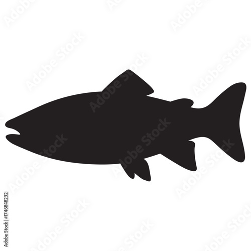Trout Fish Logo vector